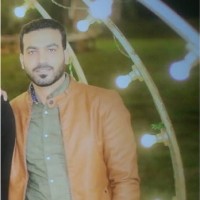 Hesham Saleh