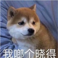 吴倩洁