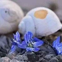时光荒