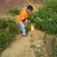 Nasir Saifi