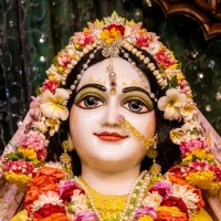 Anshu Jaiswal