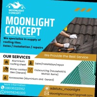 adetutu afoke moonlight