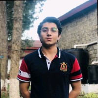 Muhammad Hasnain