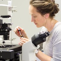 Charlotte Walker Ph.D