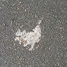 drolesse drolesse