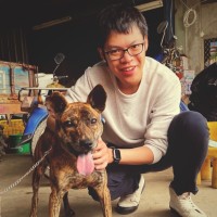 Tairong Chen