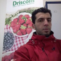 Med Daaliou