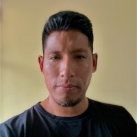 Luis Sanchez Flores