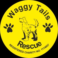 Waggy Tails Rescue Fundraising Team