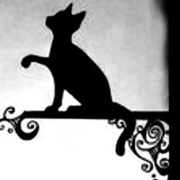 badd kitty
