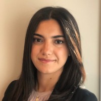 Lily Najm