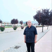 Halis Say