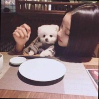 AI量化猎头 Sarah chen