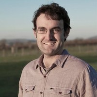 Harry Fox