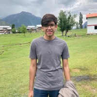 Moiz Ali