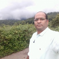 Raja Y