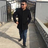 王政文