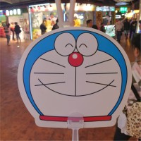 Donghui (Ryan) Yang