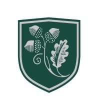 Team Dual Diploma Academica