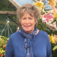 Pam Angliss