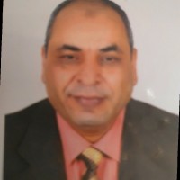 Mohamed Aly