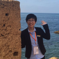 Lisa lyu Comforser and Roadcruza Tire