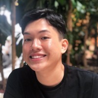 Hoang Viet Anh Luu