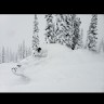 Lance Harris