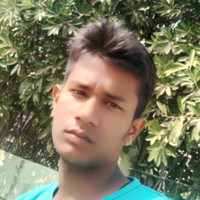 Roman Roy