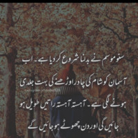 Abu Hassan
