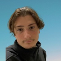 Theo Pallarols