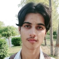 Baseer Hassan