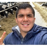 Bruno Cardoso