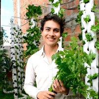 Diego Beltrán