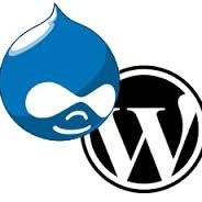 Drupal & Wordpress Expert