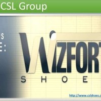 The CSL Group, Inc.