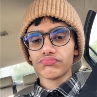 MESHARI ALGHAMDI