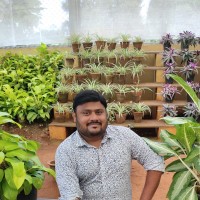 Tamizharasu N