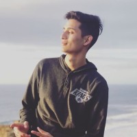 David Pedroza Jr.