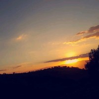 نور المصطفى