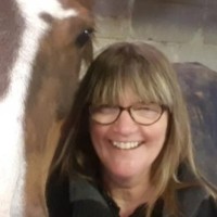 Sue Williams