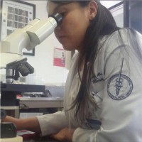 Magaly Álvarez Sekely