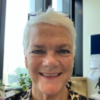 Lyn Hull