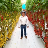 Mario Estrada