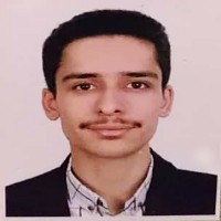 Seyed Bardia Shams