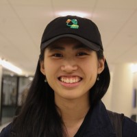 Hoa Vu
