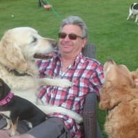 Martin Goodwin