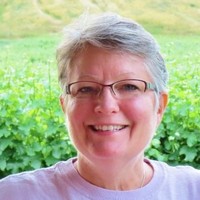Pam Hauser
