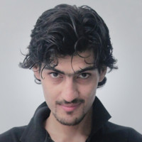 M. Ameer Ali Shah