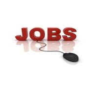 Permanent It Jobs In Usa